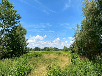 Działka rolno-budowlana Nowy Wilków