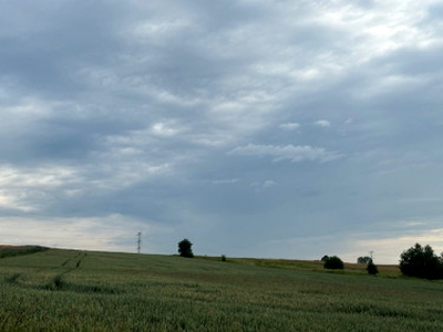 Działka rolno-budowlana Pisarzowice