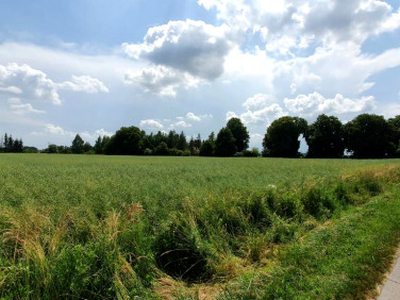 Działka rolno-budowlana Pólko