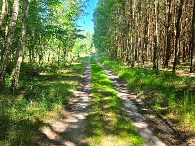 Działka rolno-budowlana, ul. Kościelna