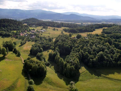 Działka siedliskowa Bukowiec