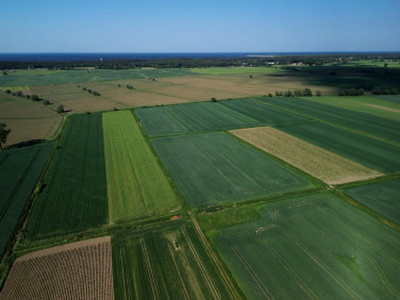 Działka siedliskowa