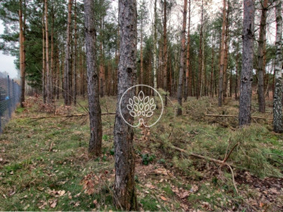 Działka Stary Jasiniec