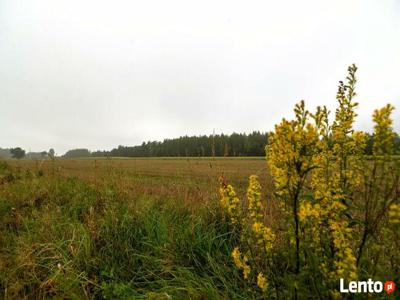 Działka budowlana Andrespol - Brójce