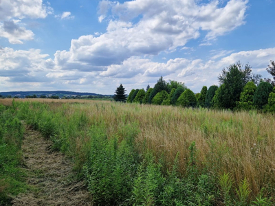 Krakowski, Kocmyrzów-Luborzyca, Wilków