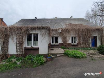 Dom jednorodzinny w Gościejewie z dużą działką!