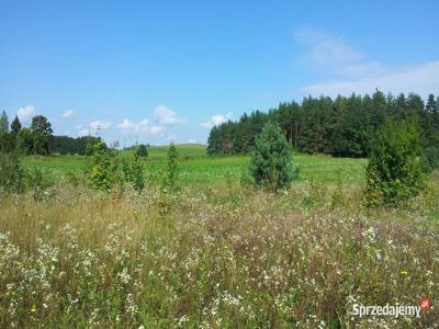 Działka Mazury gmina Orzysz