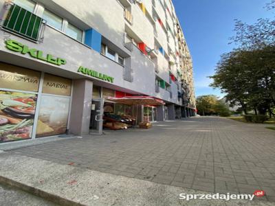 Lokal Wrocław Stalowa 55m2