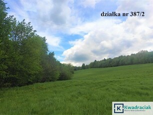 Działka budowlana Leszczawka gm. Bircza,