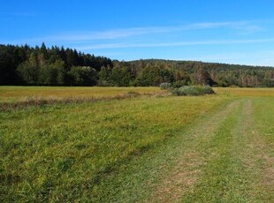 Działki siedliskowe 6,37 ha Dołżyca gm. Komańcza