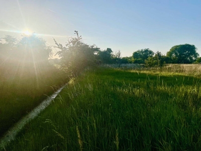 Działka budowlana Tarnowo Podgórne, ul. Tymotkowa