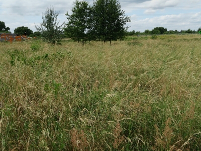 Działka budowlana Żyrardów