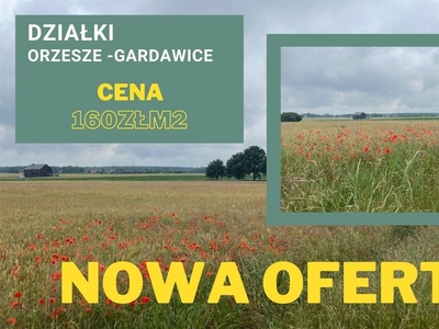 Działka inna Orzesze