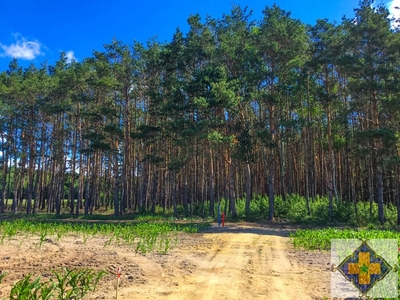 Działka inna Radzewo