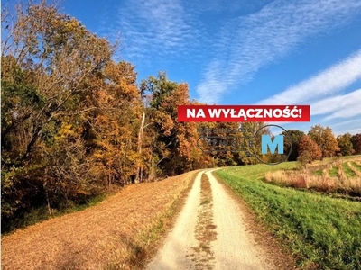 Działka inna Suków