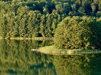 Działka Rekreacyjna, Jezioro, Las, Warmia, Gietrzwałd, Wspólny teren rekreacyjny