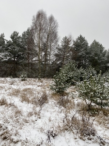 Działka w Strzewie Paczkowym - Łukaszewko 951m2 w otoczeniu lasów