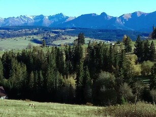 1400m2 Chochołów widok na Tatry działka budowlana