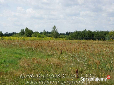 Oferta sprzedaży gruntu 3200m2 Wręcza