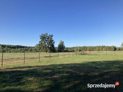 Sprzedam Działki budowlane gmina Arciechów od 1500m2do 2500m