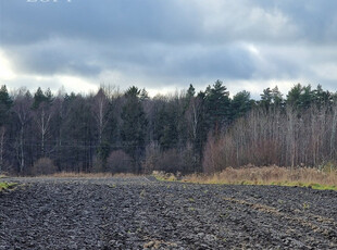 Bytom M., Bytom, Górniki, Gajowa