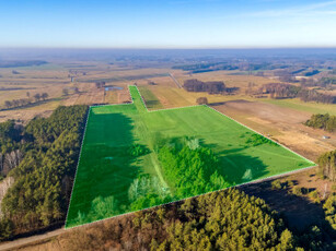 Działka siedliskowa Borki