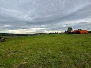 Syndyk sprzeda prawo własności nieruchomości