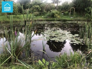 Urokliwa, duża działka pod budowę domu