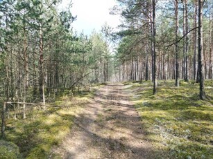 Świetne warunki do odpoczynku, spokój, rzeka Wda