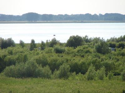 działka na sprzedaż Wierzbno