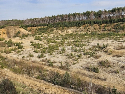 Działka inna Burzenin