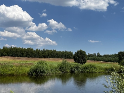 Działka na sprzedaż, Buski, Stopnica gm, Bosowice