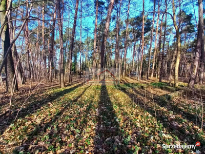 Oferta sprzedaży działki Zalesie Górne 2019m2