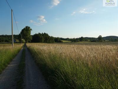 Kielecki, Chęciny, Skiby