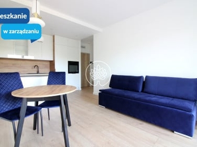 Apartament, ul. Czarna Droga