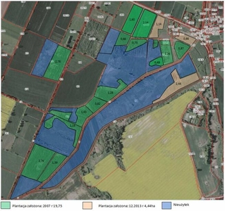 Grunty rolne: Stankowo, aktywne plantacje wierzby