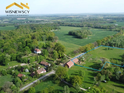 Dom do adaptacji 424m2; działka 2,6 ha, Dawidy