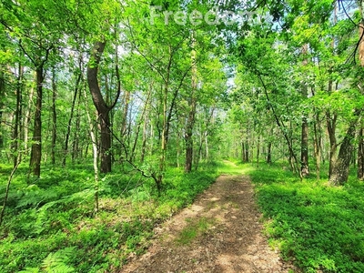 Działka inna Turze Rogi