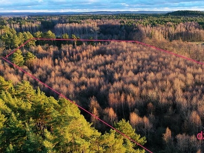 Działka usługowo - leśna , Żarnowska