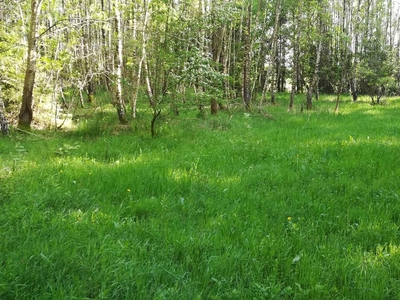 Działka w sąsiedztwie Parku Krajobrazowego