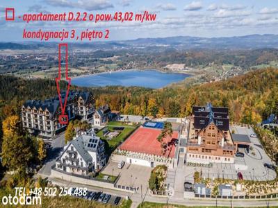 Apartamenty Seidorf *KAZALNICA* w Sosnówce-dochód