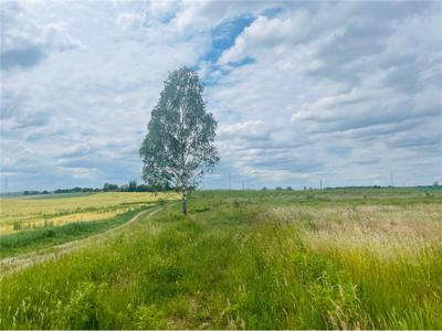 Działka budowlana Sprzedaż Tomaszkowo, Polska