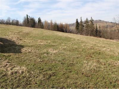 Działka Sprzedaż Biały Dunajec, Polska