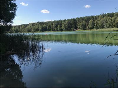 Działka Sprzedaż Rakownia, Polska