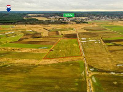 Nieruchomość gruntowa Sprzedaż Czerwieńsk, Polska