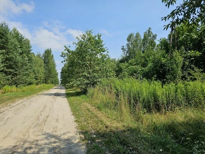 Działka blisko Lasów Kozłowieckich, Nowodwór