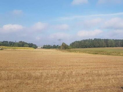 Działka budowlana Krążkowo gm. Złotniki Kujawskie