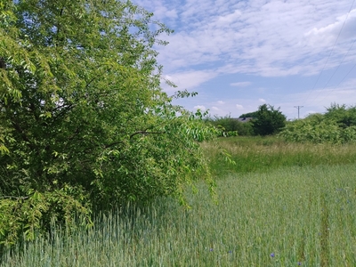 Działka budowlana Nowe Chechło 800 m3 ul. Dębowa, obok druga działka 800 m2