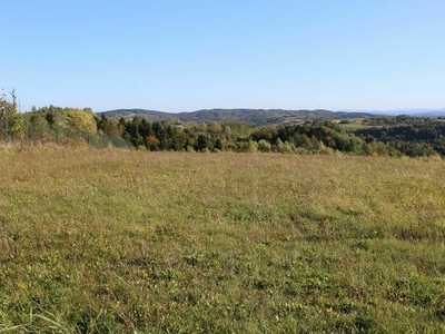 Działka budowlana przy drodze z widokiem na Bieszczady