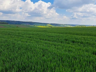 Działka budowlana Przybysławice gm. Skała